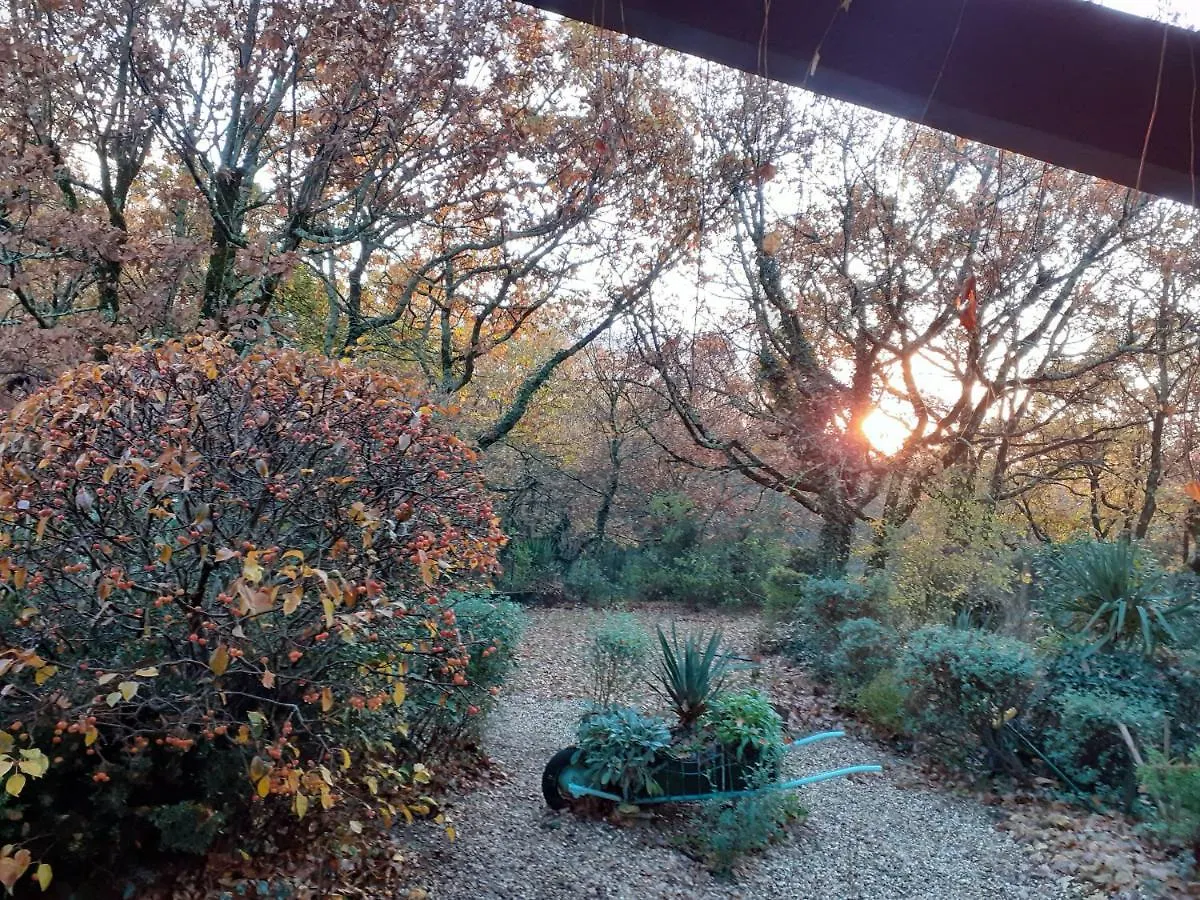 La Bergerie Hotel Lagarrigue  France